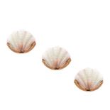 THREE SCALLOP SHELL WALL LIGHTS