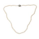 STRAND OF FAUX PEARLS WITH METAL PEARL CLASP