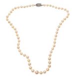 STRAND OF CULTURED PEARLS WITH 9CT WHITE GOLD CLASP