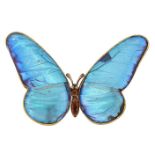 An early 20th century gold and butterfly wing brooch, the gold brooch mounted with South American