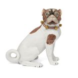 A German porcelain figure of a female pug, 20th century, modelled seated wearing a collar with bells