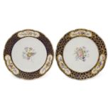 A pair of Sevres porcelain shaped plates, 18th century, decorated to the centre with large sprays of