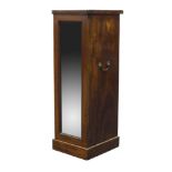 A Regency mahogany narrow cupboard, with brass handles to sides, the later mirrored door enclosing