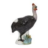 A Meissen porcelain model of a Guinea fowl, 18th century, modelled standing on a floral encrusted