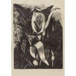 John Nash CBE RA, British 1893-1977- Untitled (flower study); wood engraving on wove, signed in