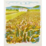 Bernard Cheese, British 1925-2013- Field of Sunflowers & Vineyards at Mirabel Provence; two