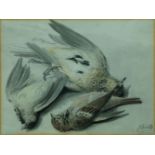 Samuel Howitt, British 1756/57-1822- Still life of dead birds; watercolour and pencil on paper,
