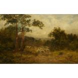 David Cox Snr OWS, British 1783-1859- Sheep on a moorland path with woodland; oil on canvas,
