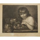 Pietro Zancon, Italian 1772-1807- Animal Affection, after William Miller; stipple engraving on wove,