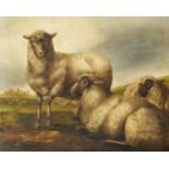 British Provincial School, late 19th/early 20th century- Sheep resting in a landscape with a