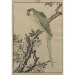 Imao Keinen, Japanese 1845-1924, Plum Blossom and Red-breasted Parakeet, book plate from Keinen