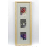 A collection of six framed sets of silk embroidered still life pictures, each frame containing three