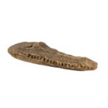 A carved hardwood model of a crocodiles head, 20th century, 50cm long50