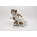 A Dresden porcelain figure of a female pug with puppy, 20th century, modelled seated with one paw