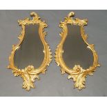 A pair of Rococo style gilt wall mirrors, early 20th Century, with scrolling border, each 101cm