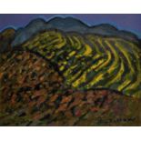 Brian Bradshaw, South African/British 1923-2016- Landscape in South Africa, circa 1990; oil on