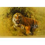 David Shepherd CBE OBE FRSA FGRA, British 1931-2017- Tiger Fire; digital print, signed on the mount,