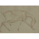 Georg Ehrlich, Austrian/British 1897-1966- Study of a goat; pen and brown ink on grey coloured