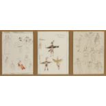 Yannis Tsarouchis, Greek 1910-1989- Triptych of Costume Designs for ‘The Birds’, From Sir Peter