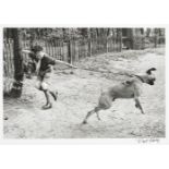 Bert Hardy, British 1913-1995- Boy scout walking large dog in the park, 1949; gelatin silver