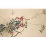 20th century Chinese School, ink and colour on paper, flowering branch, inscribed with artist's