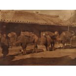 THOMAS CHILD, sixteen albumen prints, to include a caravan of camels on the Silk Road, 18cm x