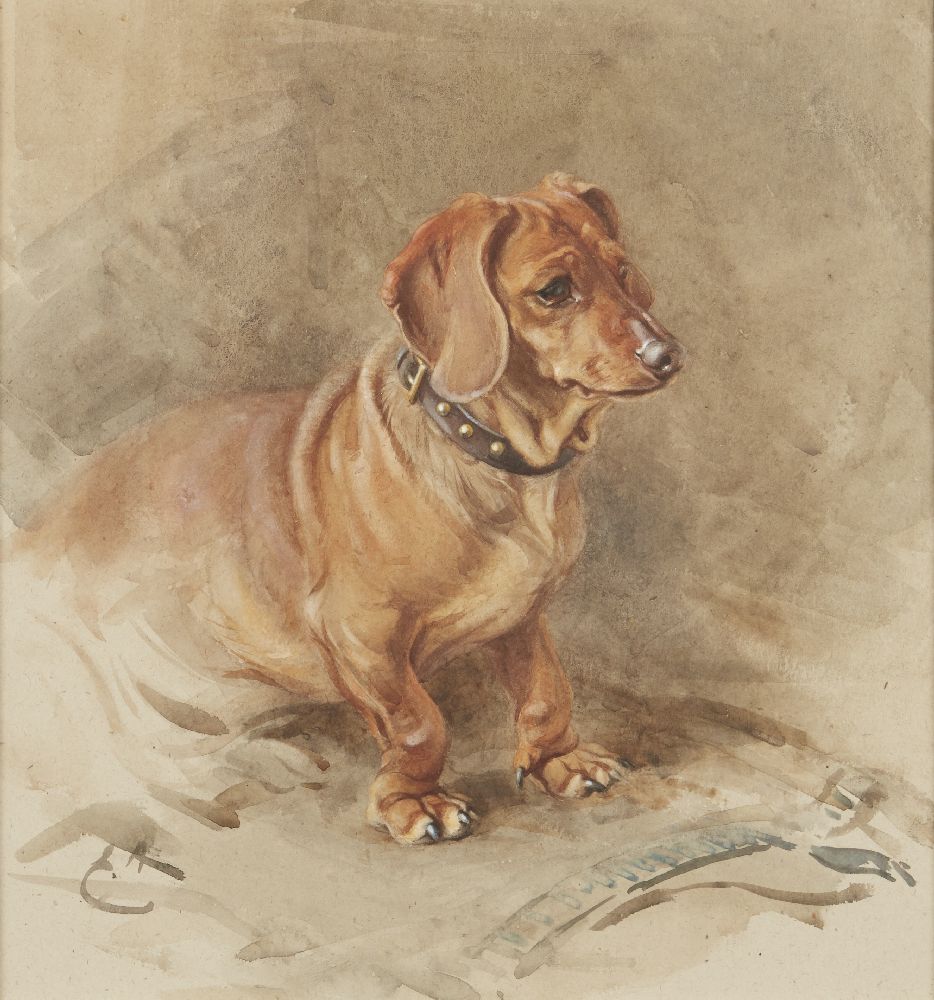 Edwin John Alexander RSA RSW RWS, Scottish 1870-1926- Dachshund; watercolour, signed with