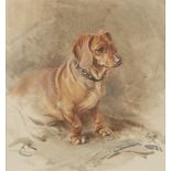 Edwin John Alexander RSA RSW RWS, Scottish 1870-1926- Dachshund; watercolour, signed with