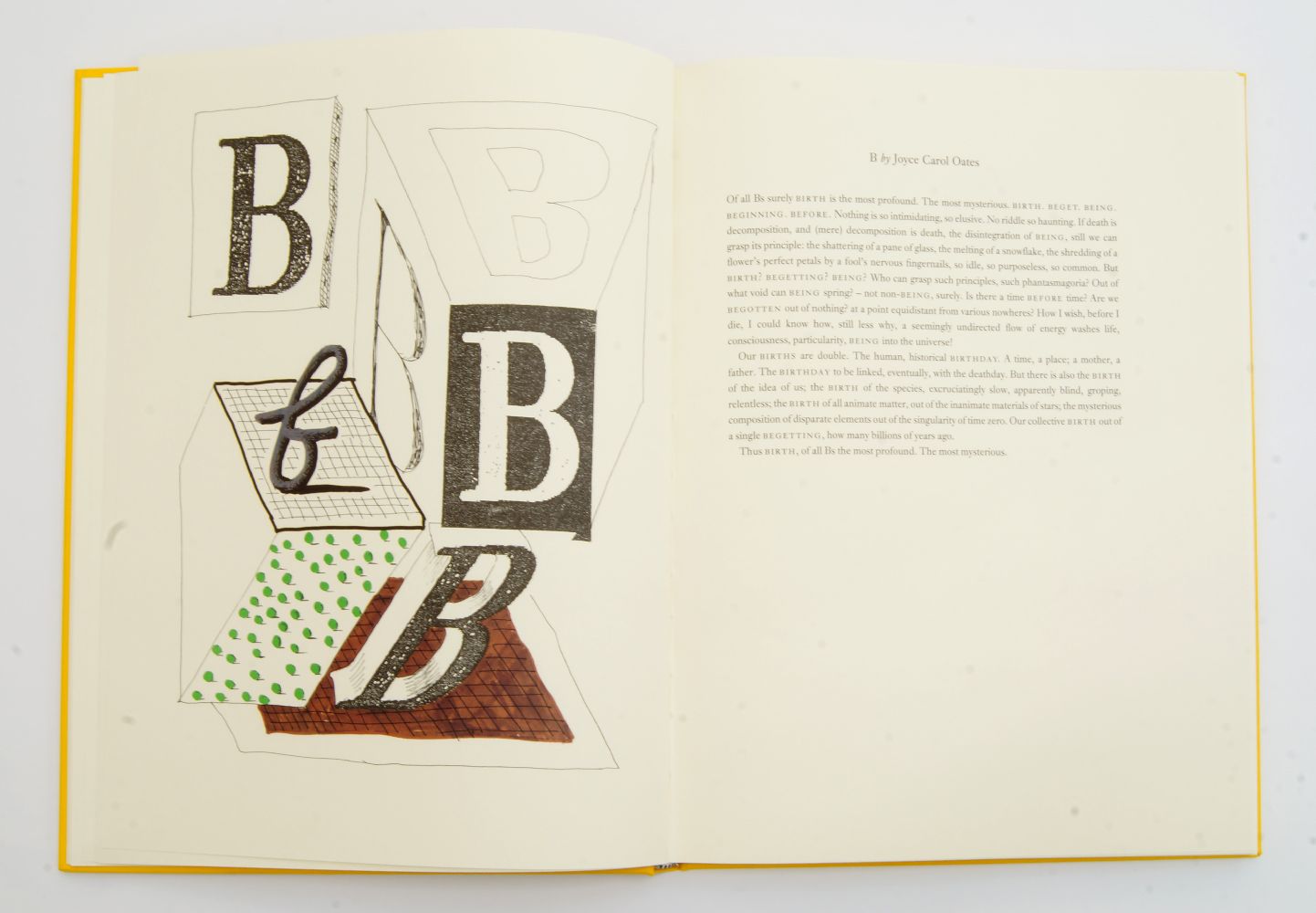 Hockney’s Alphabet. London: Faber and Faber for the AIDS Crisis Trust, 1991. Folio. Original - Image 2 of 7