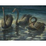 Max Frohberg, German 1883-1949- Three Black Swans; oil on panel, signed with monogram, inscribed