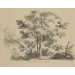 Frederick Calvert, British c.1785-1845- Studies of Trees, Drawn from Nature, August 1822;