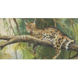 L Dundas, British School, early 20th century- Jaguar resting in a tree; watercolour heightened