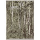 Arthur Boyd AC OBE, Australian 1920-1999- Suffolk Woods, 1981; lithograph in colours on wove, signed