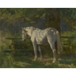 Follower of Sir Alfred James Munnings, KCVO PRA RI, British 1878-1959- White horse in shade; oil