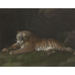 John Dixon, British 1720-1811- A Tigress, after George Stubbs ARA; hand-coloured mezzotint
