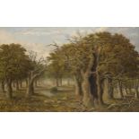 Charles Leaver, British 1824-1888- View of ancient woodland; oil on canvas, signed and dated 1885,