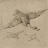 Circle of Francis Barlow, British 1626-1701- Study of ducks in flight; pen and grey black ink on
