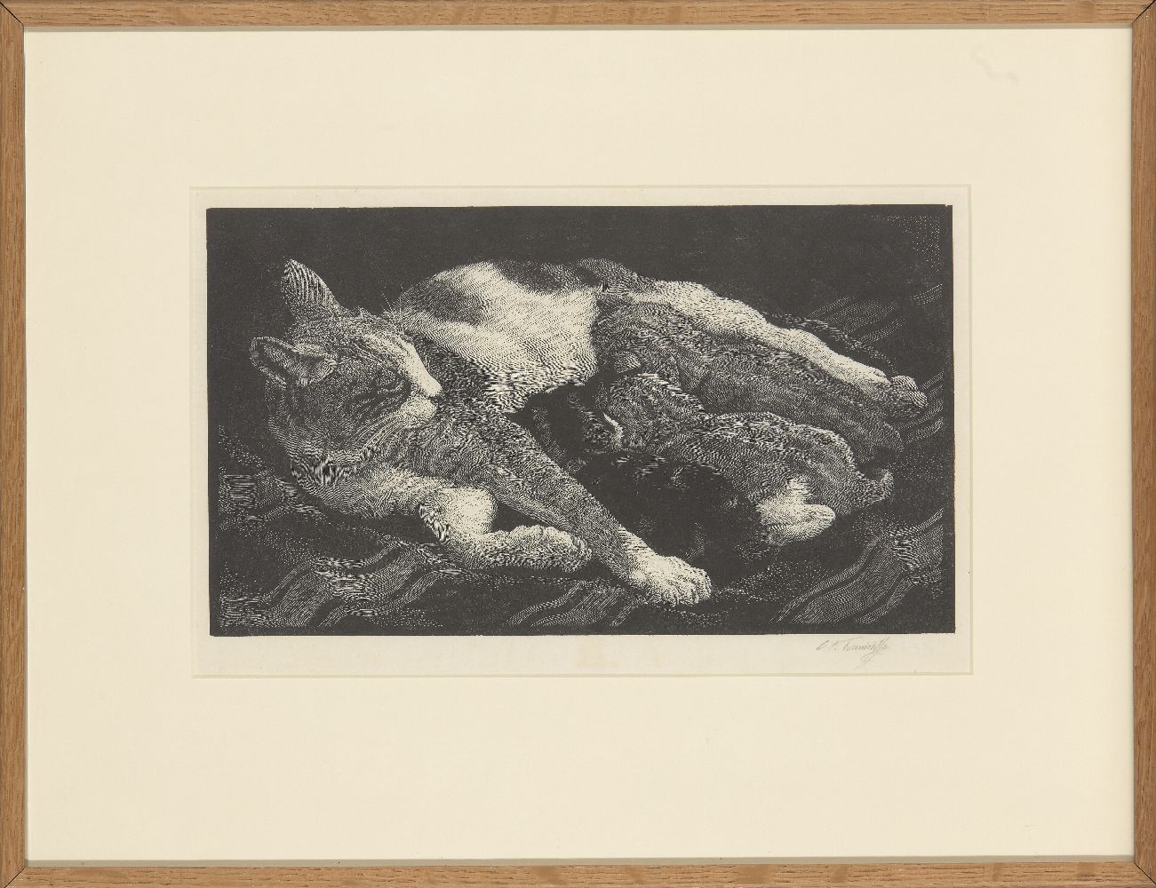Charles Frederick Tunnicliffe RA, British 1901-1979- A Cat with Kittens, 1936; wood engraving on - Image 2 of 2