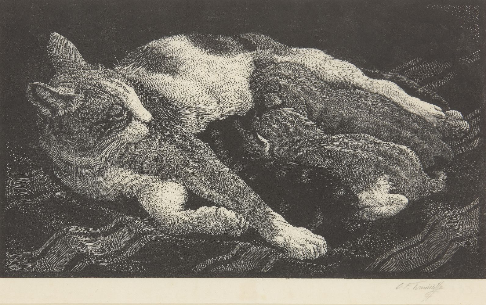 Charles Frederick Tunnicliffe RA, British 1901-1979- A Cat with Kittens, 1936; wood engraving on