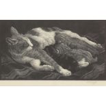 Charles Frederick Tunnicliffe RA, British 1901-1979- A Cat with Kittens, 1936; wood engraving on