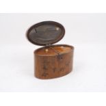 A George III satinwood two-section tea caddy of oval form, with hinged lid and ivory finial knob,