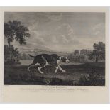 After William Woollett, British 1735-1785- The Spanish Pointer, after George Stubbs ARA; restrike