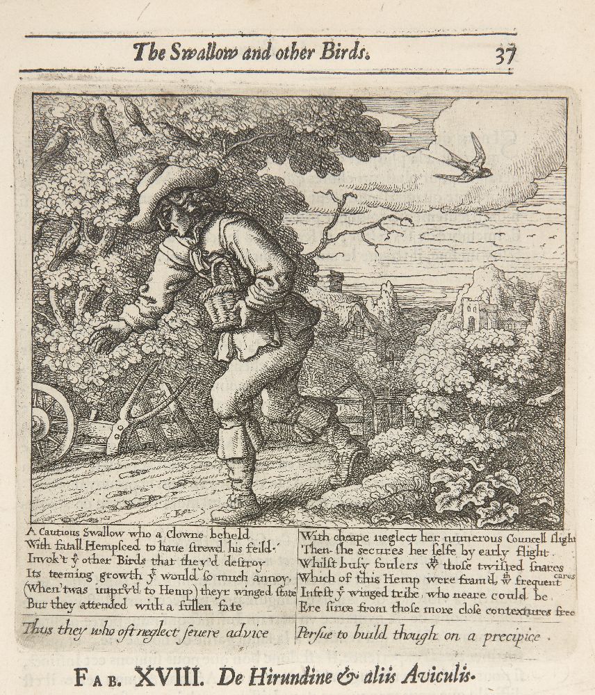 Francis Barlow, British 1626-1702- De Hirundine et Aliis Aviculis, from Aesop's The Swallow and