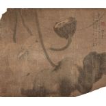 18th century Chinese School, ink on silk, dragonfly with lotus flowers, 40cm x 47.5cm, the silk