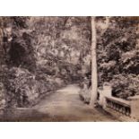 LAI AFONG, seven albumen prints, views of Hong Kong including botanical gardens, 21cm x 27cmPlease