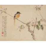 DENG CHANGFU (Chinese, 1914-1991), ink and colour on paper, bird on a branch, two red seals and
