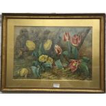 A Victorian Still Life watercolour of Tulips,