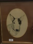 TRUDY FRIEND (20th/21st century) British, Portrait of a Dog, signed, watercolour,