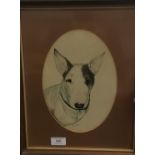 TRUDY FRIEND (20th/21st century) British, Portrait of a Dog, signed, watercolour,