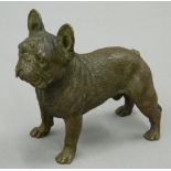 A bronze model of a French Bulldog. 7 cm high, 7.5 cm long.